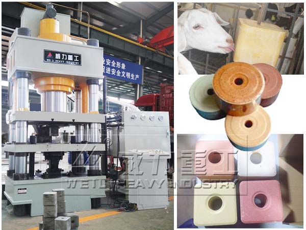 牛羊舔磚液壓機(jī)加工生產(chǎn)現(xiàn)場(chǎng)